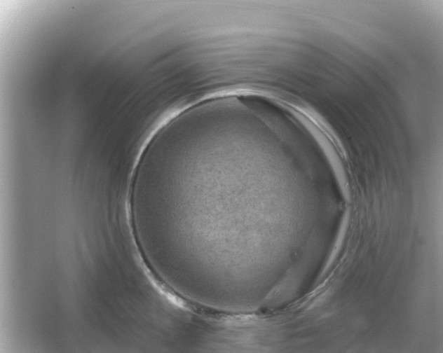 X0000066010813200603101555