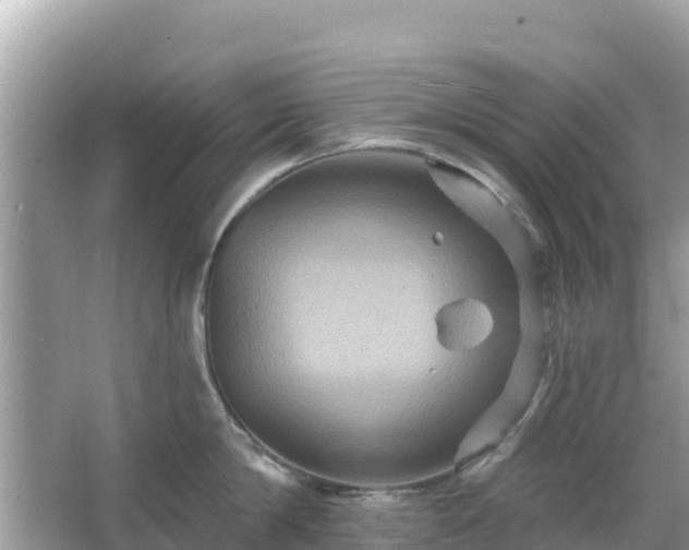 X0000066010814200603101555