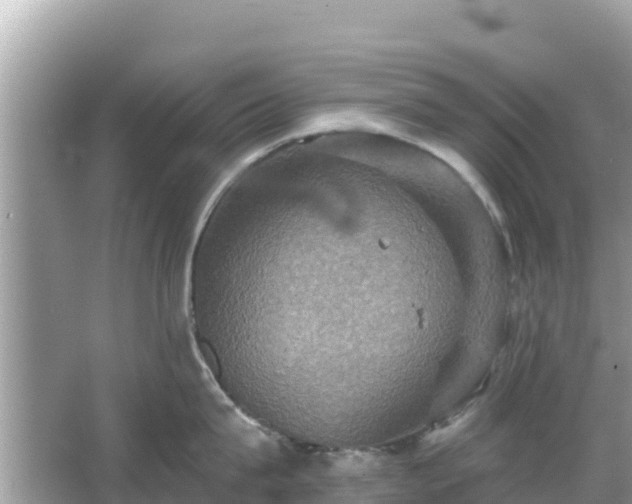 X0000066010815200603101555