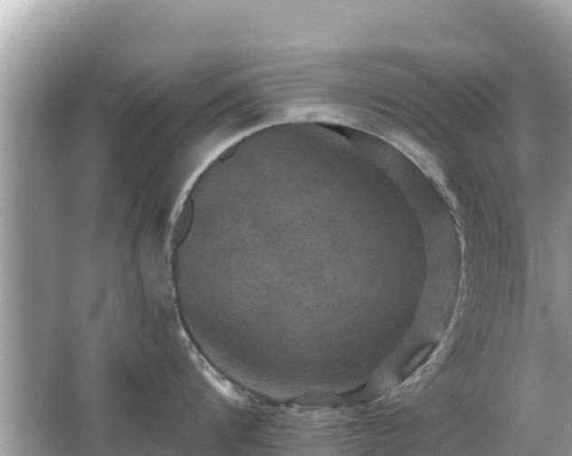 X0000066010816200603101555