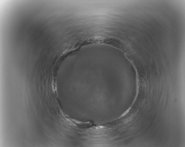 X0000066010818200603101554