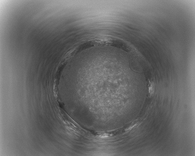 X0000066010819200603101554