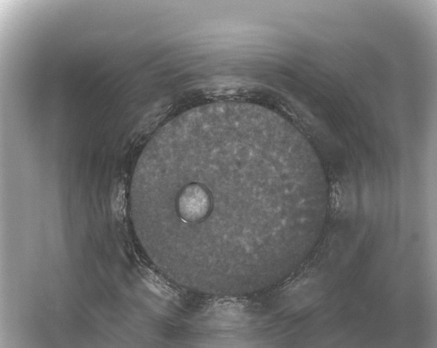 X0000066010820200603101554