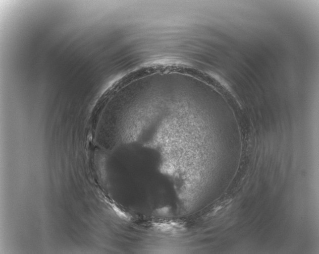 X0000066010823200603101554