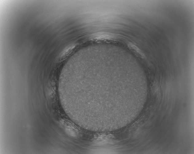 X0000066010824200603101554