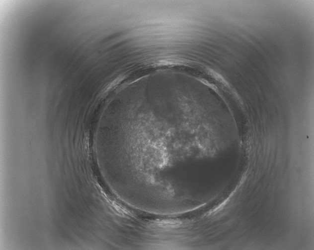 X0000066010825200603101554