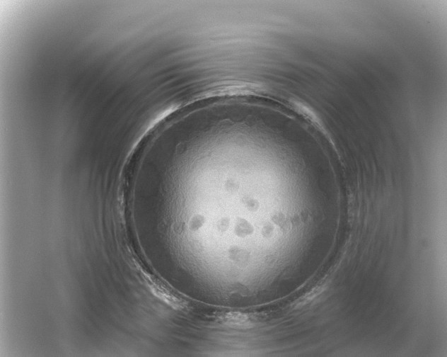 X0000066010827200603101554