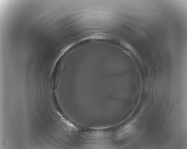 X0000066010829200603101554