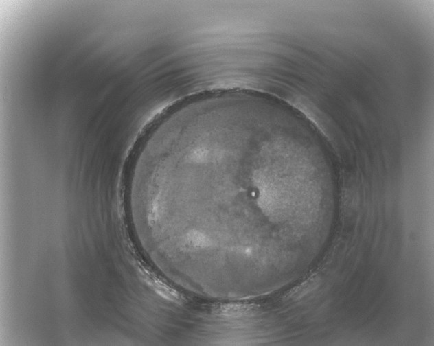 X0000066010832200603101554