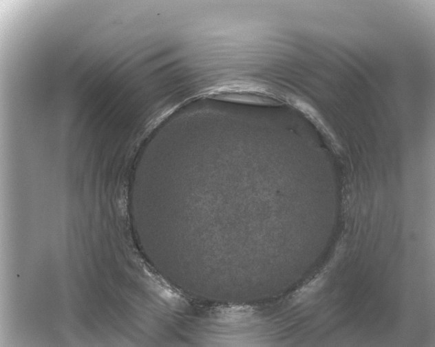 X0000066010833200603101554