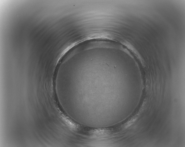 X0000066010834200603101554