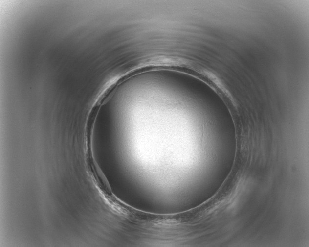 X0000066010837200603101554