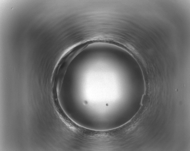 X0000066010838200603101554