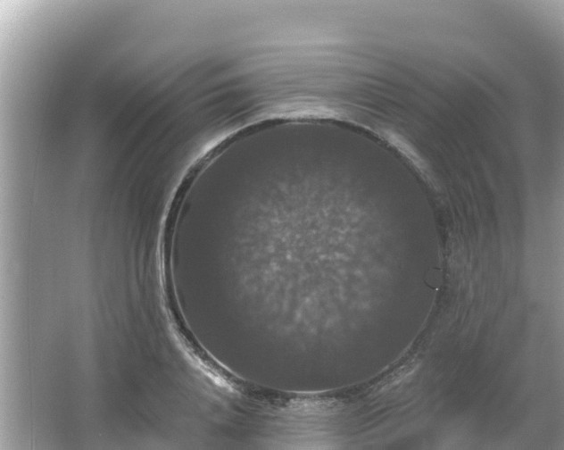 X0000066010840200603101554