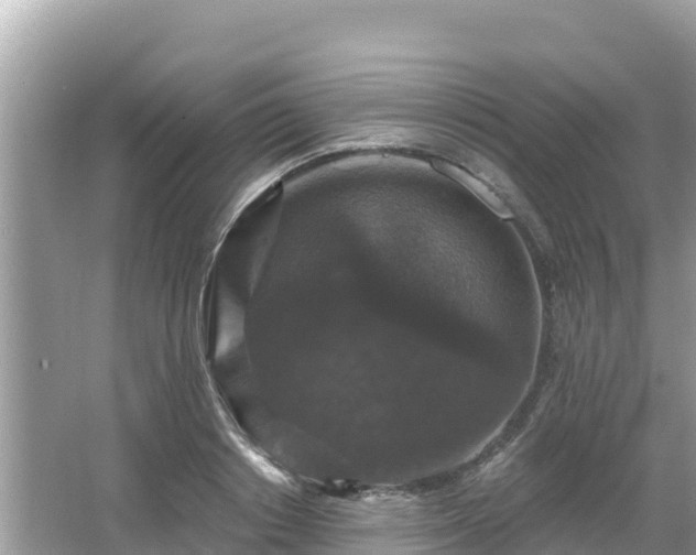 X0000066010842200603101554