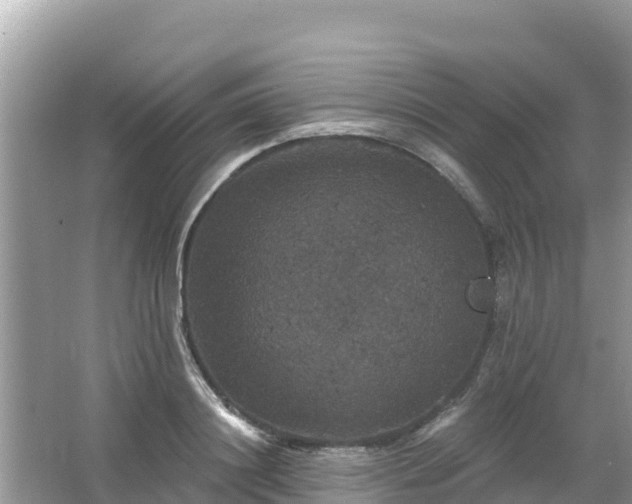 X0000066010844200603101554