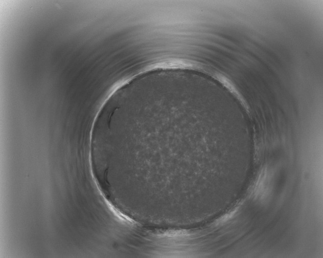 X0000066010845200603101554