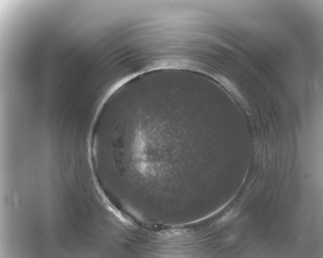 X0000066010846200603101554