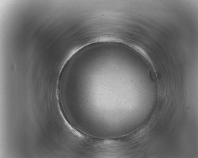 X0000066010847200603101555