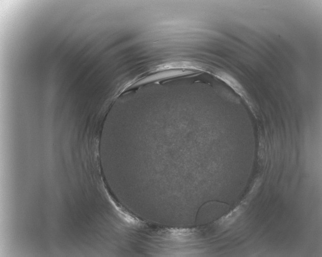 X0000066010849200603101555