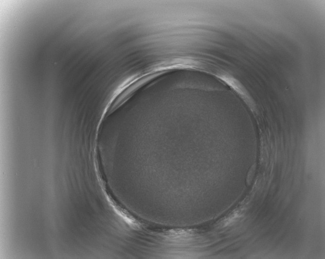 X0000066010850200603101555