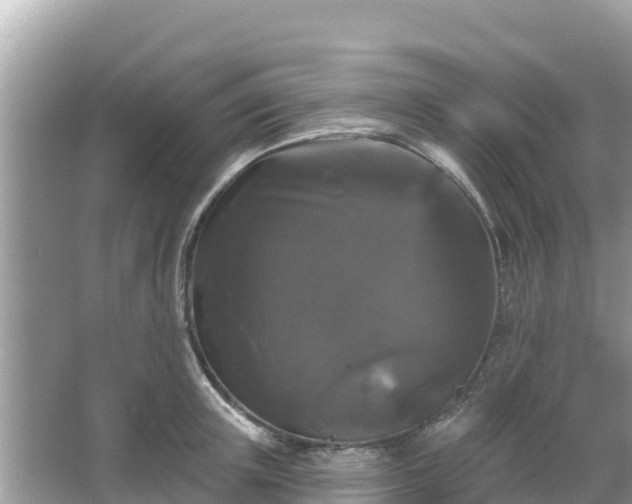 X0000066010851200603101555