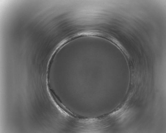 X0000066010853200603101555