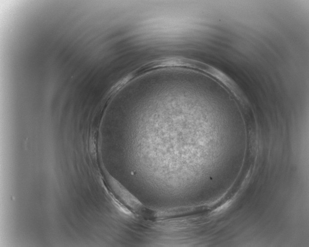 X0000066010857200603101555