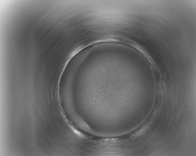 X0000066010858200603101555