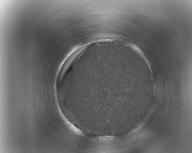 X0000066010859200603101555