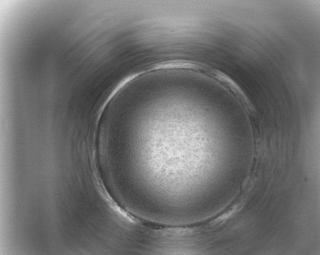 X0000066010860200603101555