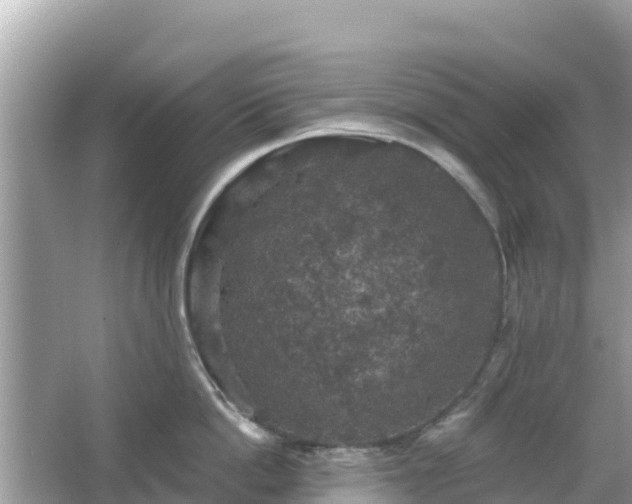 X0000066010862200603101555