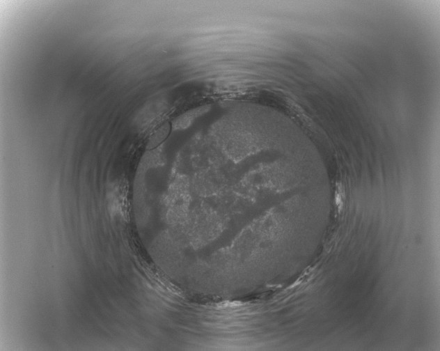 X0000066010867200603101554