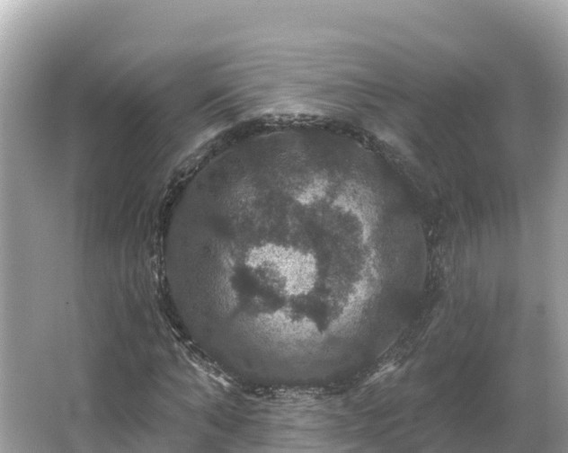 X0000066010870200603101554