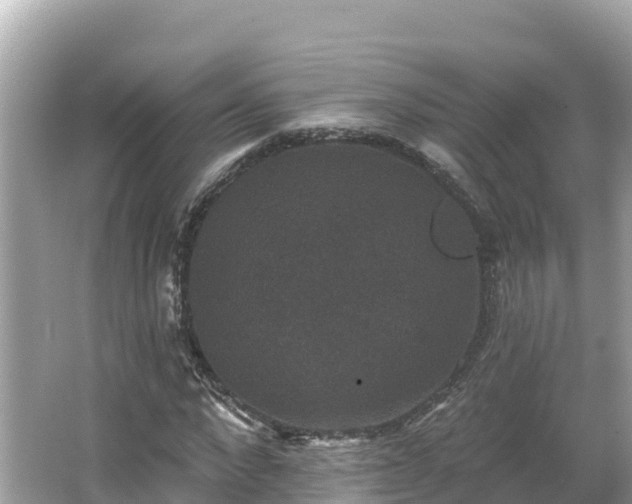 X0000066010872200603101554