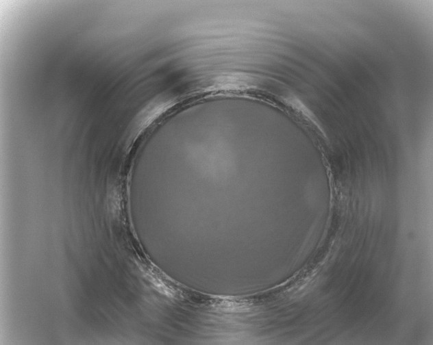 X0000066010874200603101554