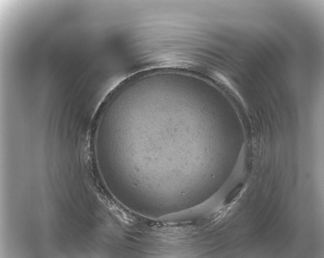 X0000066010875200603101554