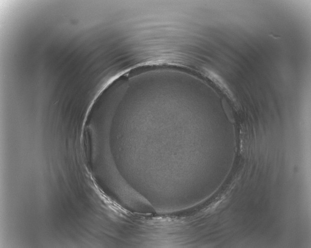 X0000066010876200603101554