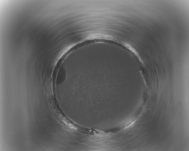 X0000066010877200603101554