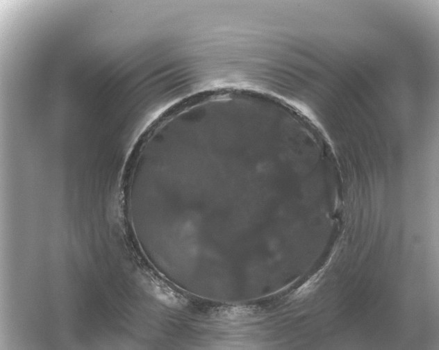 X0000066010879200603101554