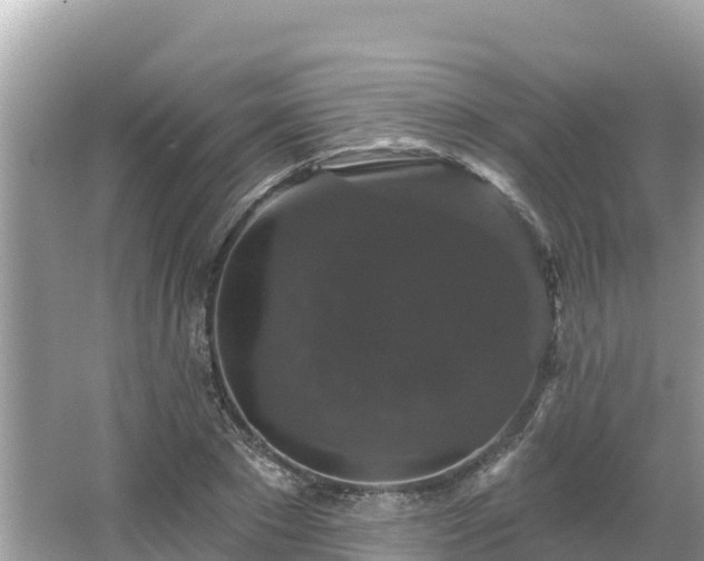 X0000066010881200603101554