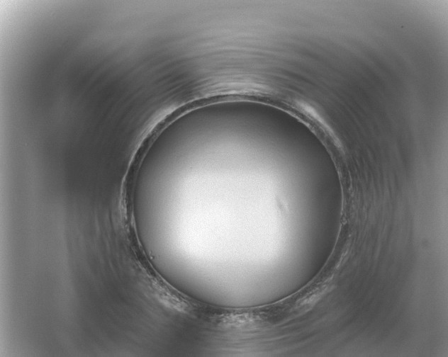 X0000066010883200603101554