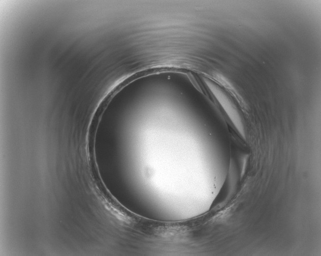 X0000066010884200603101554