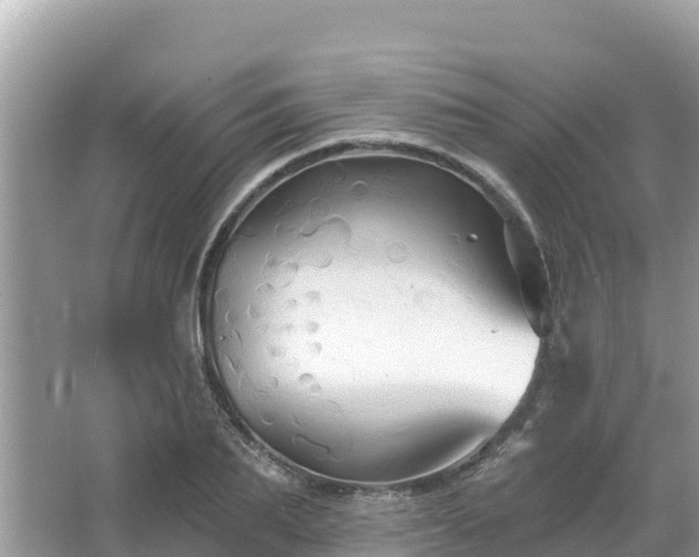 X0000066010887200603101554