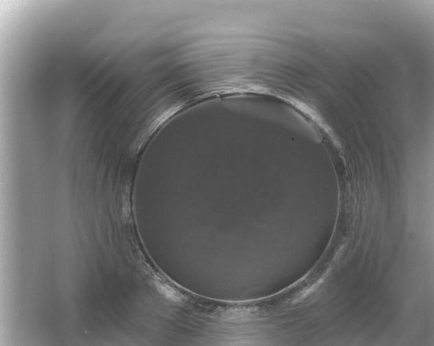 X0000066010889200603101554