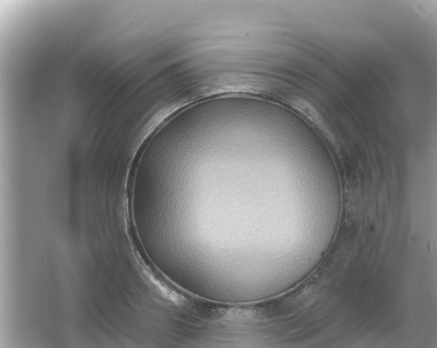 X0000066010890200603101554