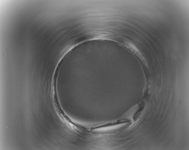 X0000066010892200603101554