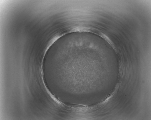 X0000066010893200603101554