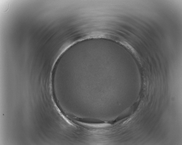 X0000066010894200603101554