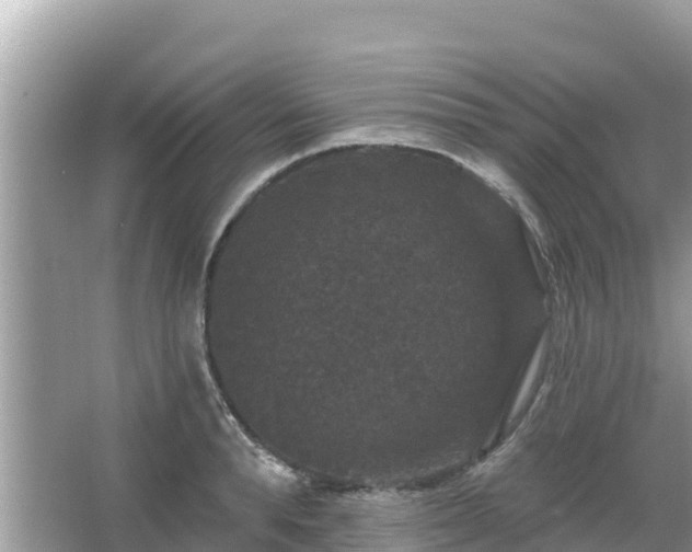 X0000066010896200603101553